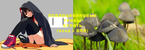 каннабис Гусев