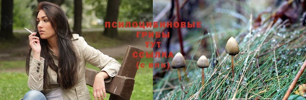 каннабис Гусев